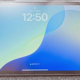 iPad Pro 11インチ 第4世代 スペースグレー 本体