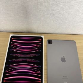 Apple iPad Pro 11インチ 第4世代 128GB グレイ