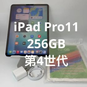 iPad Pro 11 第4世代 256GB 美品