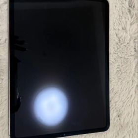 Apple iPad Pro 11インチ 第4世代 Wi-Fi Cellular