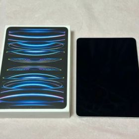 iPad Pro 第4世代 11インチ 256GB
