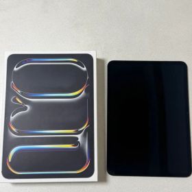 Apple iPad Pro M4 11インチ本体