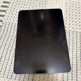 iPad Pro11インチセルラーモデル256G