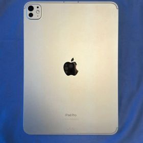 【美品】iPadPro11インチM4 256GBセルラー