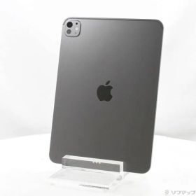 ソフマップ 〔中古品〕 iPad Pro 11インチ(M5) 標準ガラス 256GB スペースブラック MDWK4J／A Wi-Fi【349】
