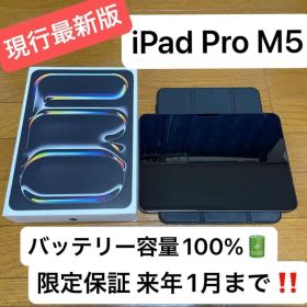 iPad Pro M5 Wi-Fiモデル 11インチ 256GB 限定保証付き