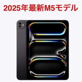 値下げなし/iPad Pro（M5）11インチWi-Fiモデル スペースブラック