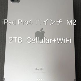 【美品】iPad Pro 11インチ 第4世代 Wi-Fi ＋ Cellular 2TB 2022年モデル M2/16GB