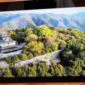 Microsoft surface Windows 10 Pro タブレット