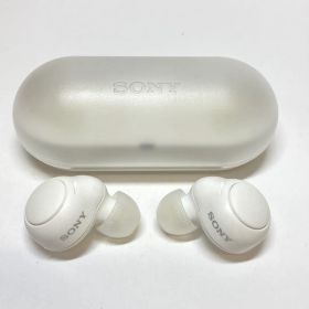 SONY WF-C500 ワイヤレスイヤホン S110