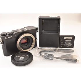 ★極上品★ Panasonic パナソニック LUMIX DMC-GM5 ボディ ブラック ミラーレス一眼カメラ 2604081