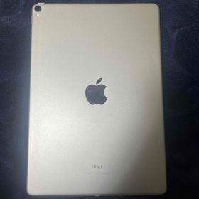 アップル(Apple)のiPad Pro 10.5 256GB(タブレット)