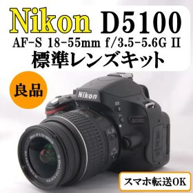 【動作良好】Nikon D5100 一眼レフ レンズキット 撮影 入学式 桜