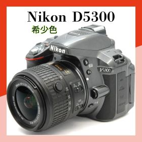 Nikon D5300 レンズキット 18-55 VRⅡ 動作良好 Wi-Fi付