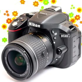 ニコン Nikon D5300☆WIFI機能内蔵☆高性能一眼レフ☆お買い得！