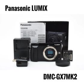 【美品 箱付】パナソニック Panasonic LUMIX DMC-GX7MK2