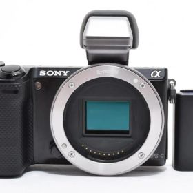 ★美品★ソニー SONY α NEX-5R Tru-Finder 付き#1841