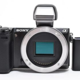 ★美品★ソニー SONY α NEX-5R Tru-Finder 付き#1841