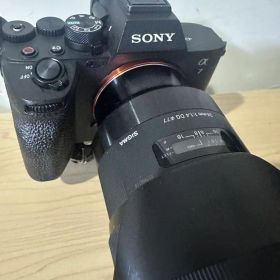 SONY α7IV SIGMA 24mm F1.4 DG DN