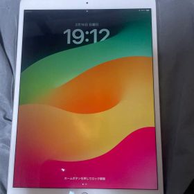 iPad Pro 10.5インチ 64GB Wi-Fiモデル シルバー 箱無し