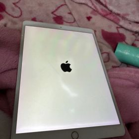 Apple iPad pro 10.５インチ nqf22Ｊ/F値下げ中