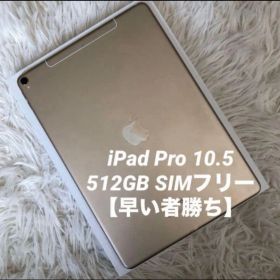 【格安】iPad Pro 10.5 512GB 【即発送】【付属品】