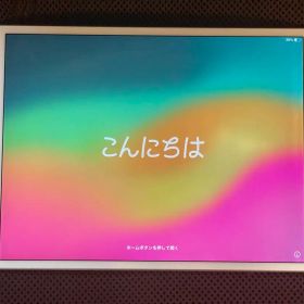 iPad Pro 10.5 256GB A1701 充電不可 ジャンクWi-Fi
