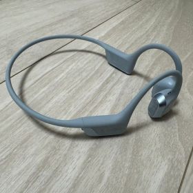 shokz OPENRUN PRO 2 ブルー