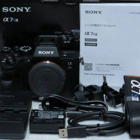 ソニー SONY ミラーレス一眼 α7S III ILCE-7SM3 【中古】
