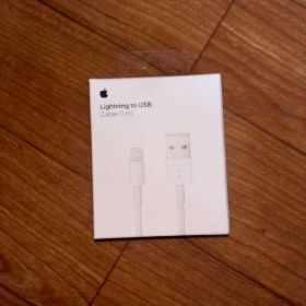 Apple EarPods 純正 イヤホン