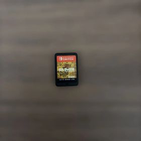 ゼルダの伝説ブレスオブザワイルド ソフトのみ