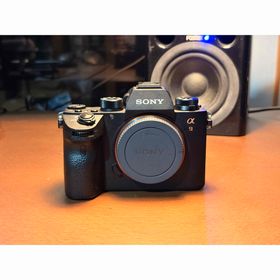 ソニー(SONY)のSONY α9 ショット数9437枚 ミラーレス一眼カメラ(ミラーレス一眼)