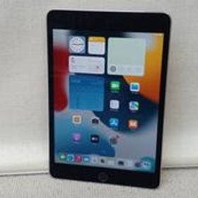 IPAD MINI 4 MK9G2J/A APPLE