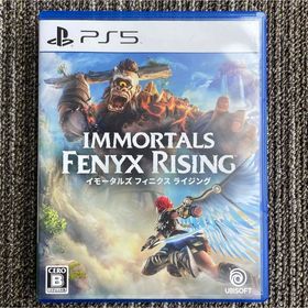 イモータルズ フィニクス ライジング PS5(家庭用ゲームソフト)