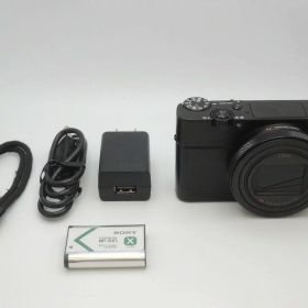 ソニー SONY コンパクトデジタルカメラ コンデジ DSC-RX100M6 【中古】