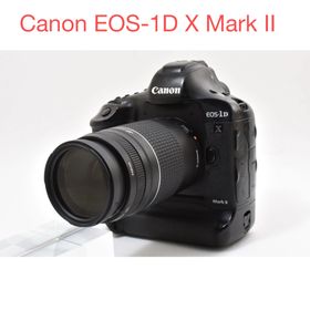 キヤノン(Canon)のCanon EOS-1D X Mark II 望遠レンズセット(デジタル一眼)