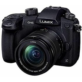 【中古】「非常に良い」パナソニック ミラーレス一眼カメラ ルミックス GH5 レンズキット 標準ズームレンズ付属 ブラック DC-GH5M-K(ミラーレス一眼)