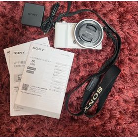 ソニー(SONY)のSONY α5100 ミラーレス一眼(ミラーレス一眼)