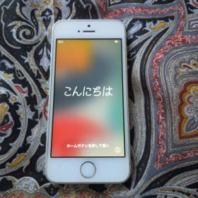 iPhone SE(第1世代) シルバー 新品 24,800円 中古 5,000円 | ネット最