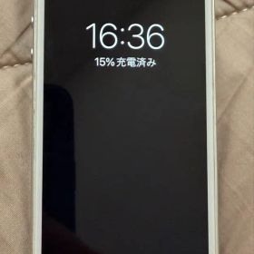 iPhoneSE 初代 中古 白ロム 機能不良なし 本体のみ 値下げ検討