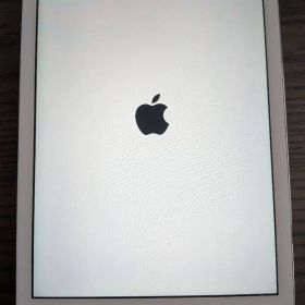iPad Air 本体