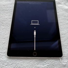 Apple iPad Air初代128GBWi-Fi（スペースグレイ）A1566