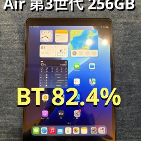 iPad Air (第3世代) 256GB