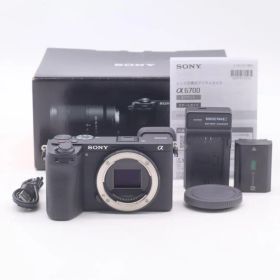 SONY ソニー APS-C α6700 ILCE-6700 #3460