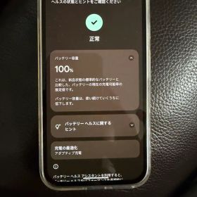 Google Pixel 9a本体