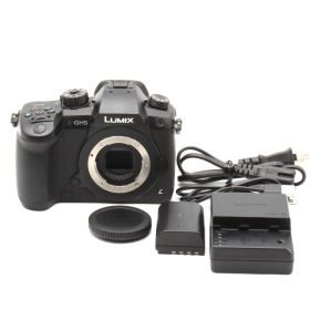 5,303ショット★■ほぼ新品■ PANASONIC ミラーレス一眼カメラ ルミックス GH5 ボディ ブラック DC-GH5-K No.C03852