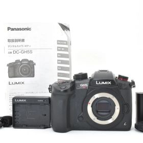 シャッター回数12534回！■極上品■ PANASONIC DC-GH5S-K ミラーレス一眼カメラ GH5S