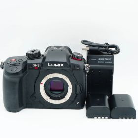 Panasonic LUMIX GH5S ボディ ブラック DC-GH5S-K #2604026