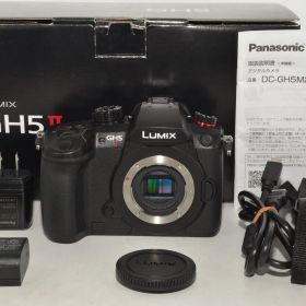 260169★ほぼ新品★パナソニック(Panasonic) ミラーレス一眼カメラ ルミックス GH5M2 ボディ ブラック DC-GH5M2 Panasonic
