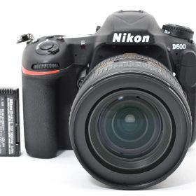 ★極上★ ニコン Nikon D500 16-80 VR レンズキット 《ショット数29194回・バッテリー付！》★完動品★ #A602144